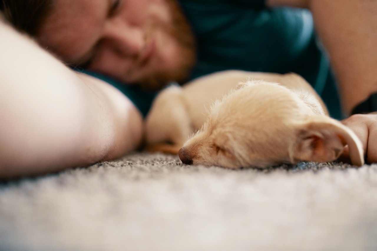 Image showing a man in a Dubai pet friendly apartment at Homevy